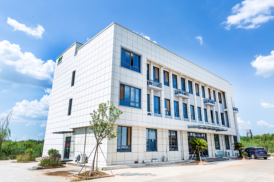 Társaság Valódi Kép