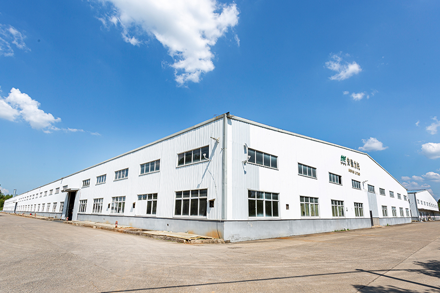 Társaság Valódi Kép